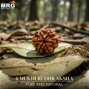 6 MUKHI RUDRAKSHA