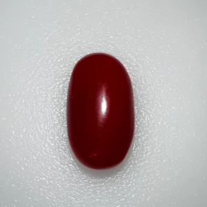 RED CORAL (Japanese)- 6.07 CARATS                      6.50 Ratti