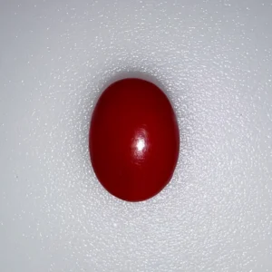 RED CORAL (JAPANESE) - 7.14 CARATS 7.50 RATTI