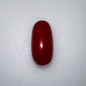 RED CORAL (JAPANESE)- 6.65 CARATS 7.33 RATTI